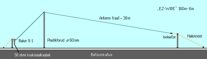 Pilt